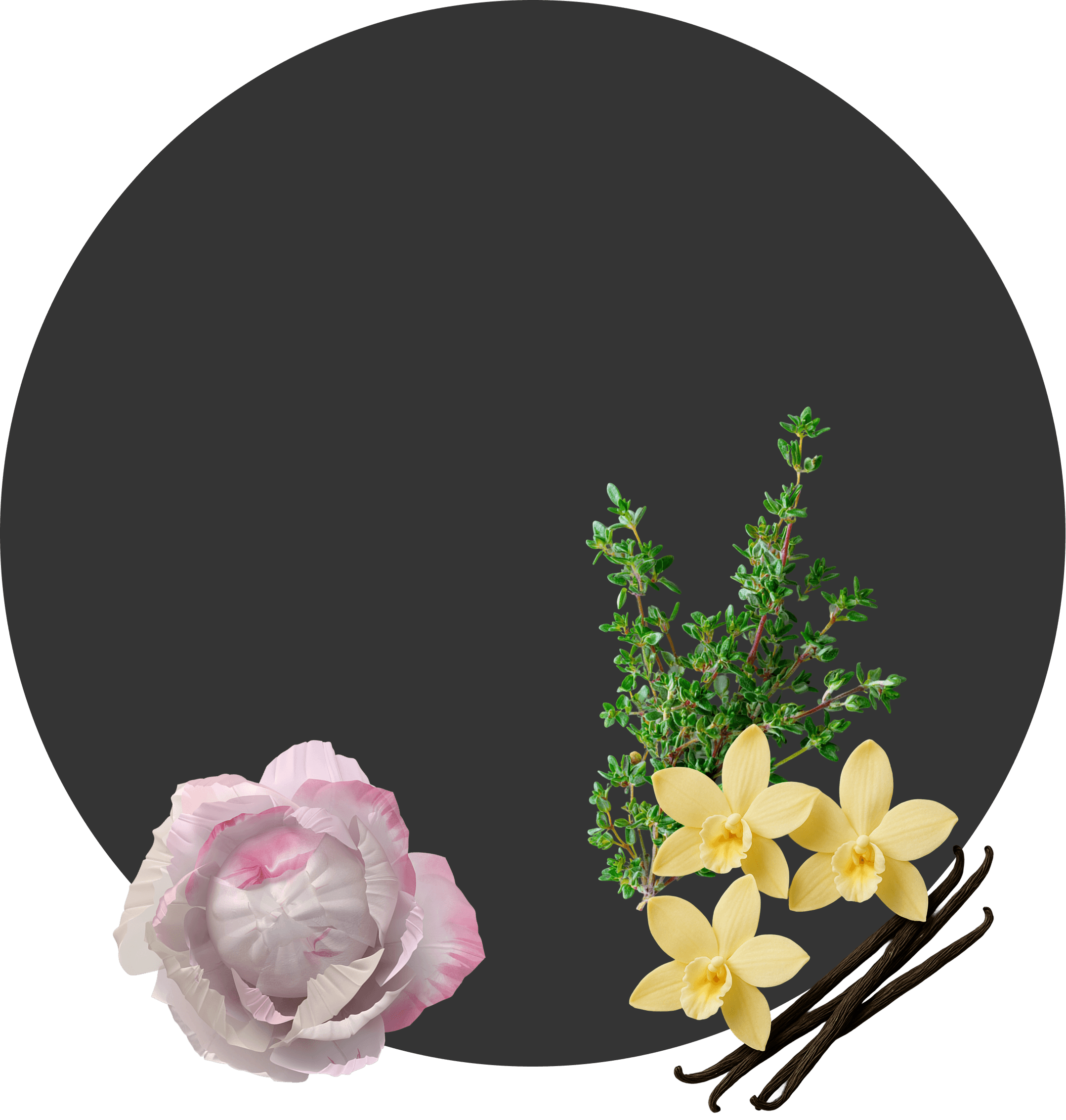 ГРАППА ОРДИНАРНАЯ