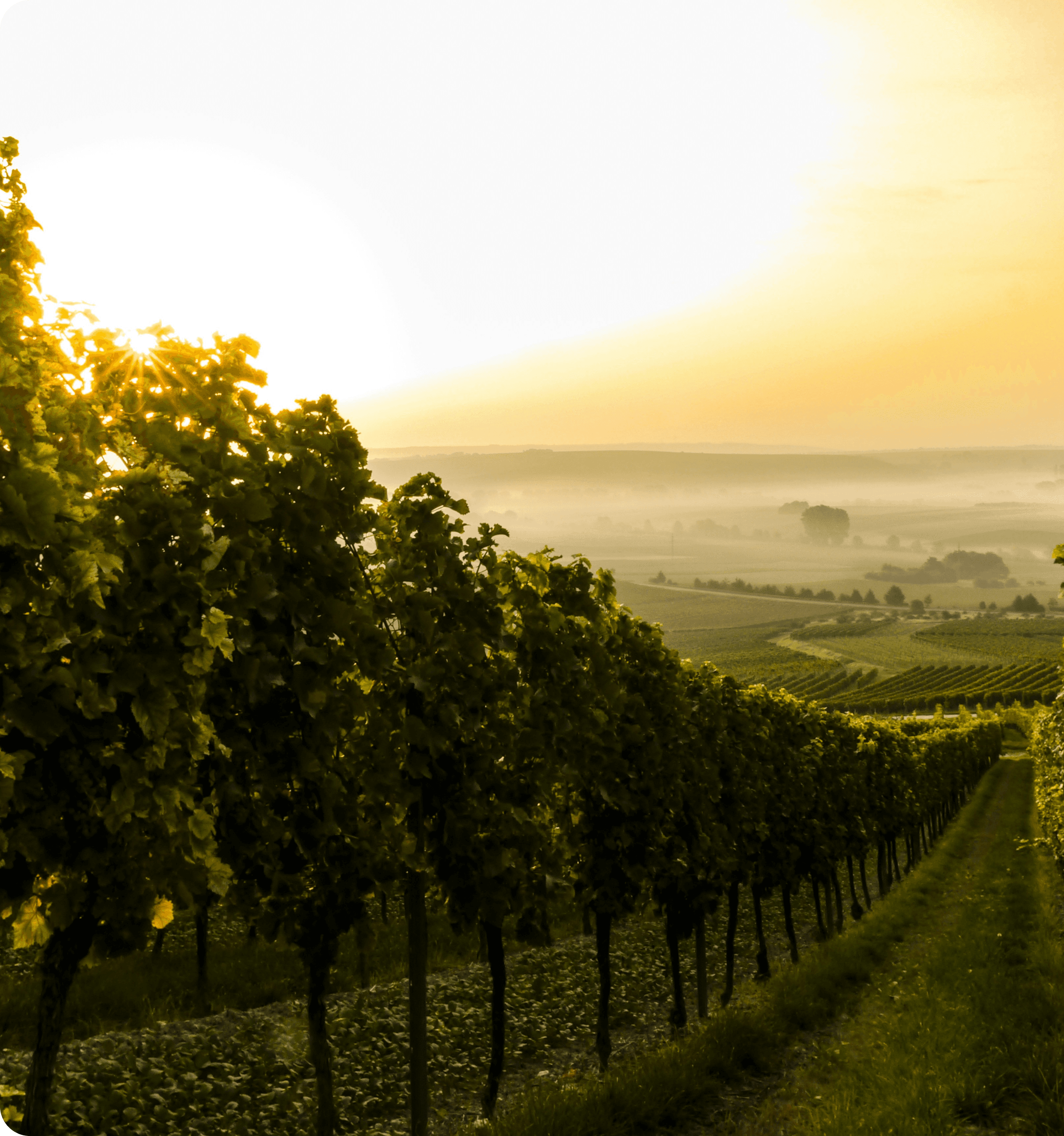 Особенности создания