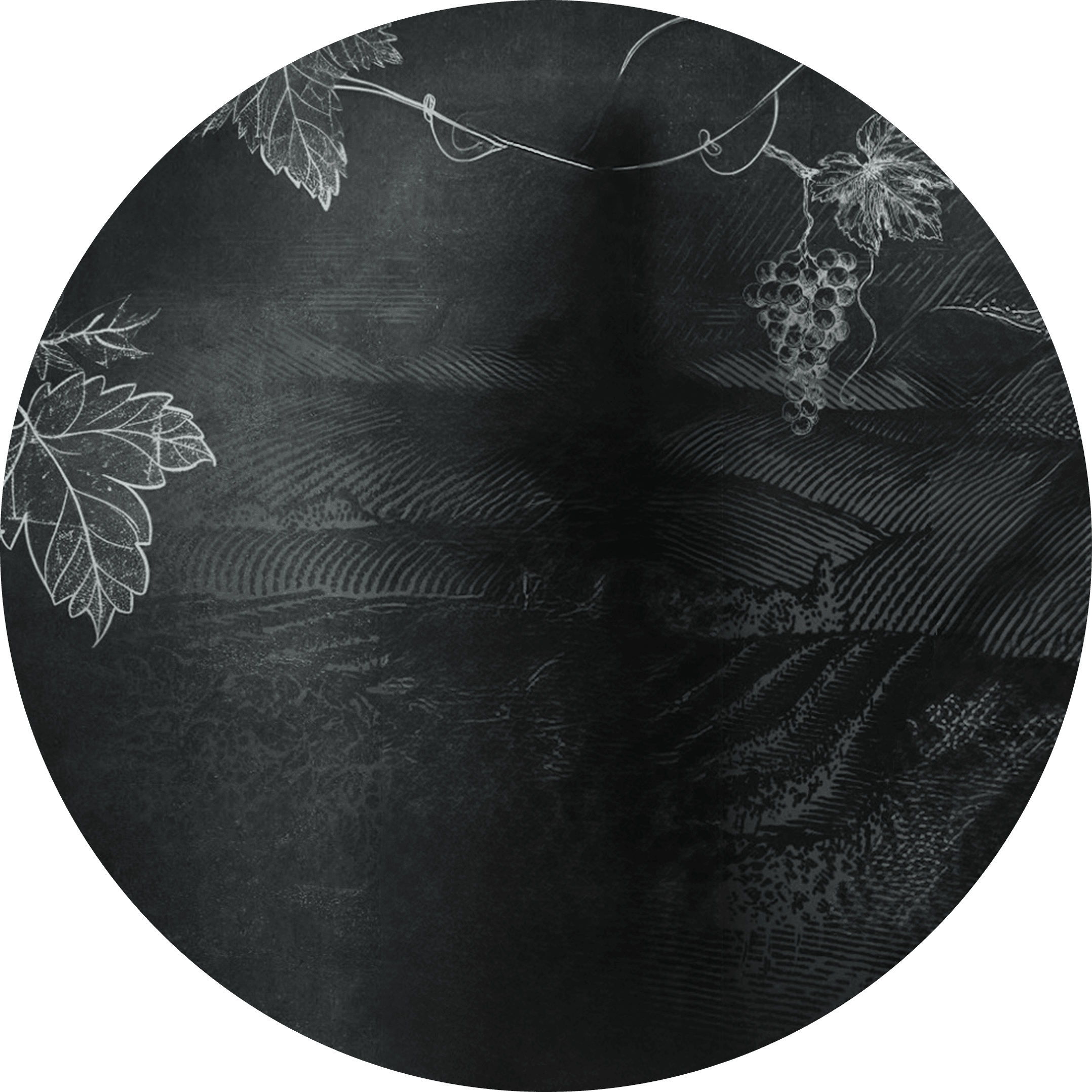 DERBEND МЯГКАЯ 38%