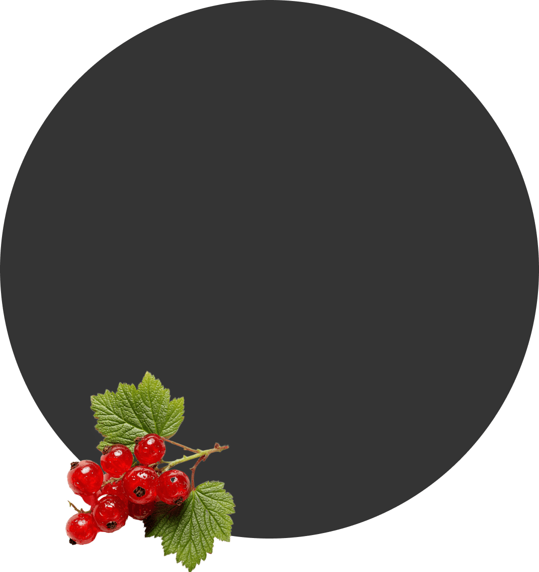 КРАСНАЯ СМОРОДИНА