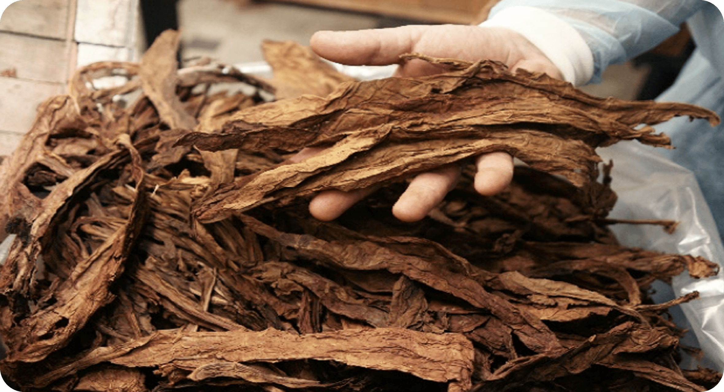 Ферментация