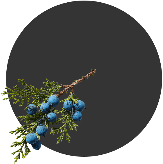 КЛАССИЧЕСКИЙ