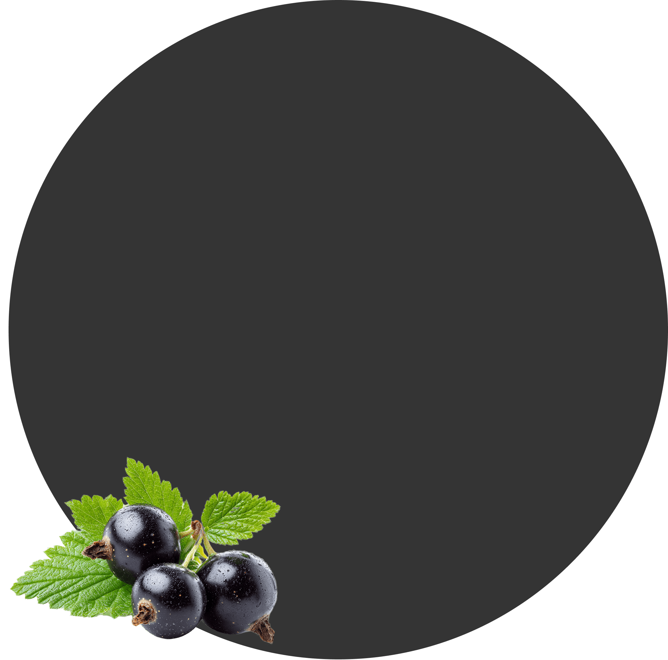 ЧЕРНАЯ СМОРОДИНА