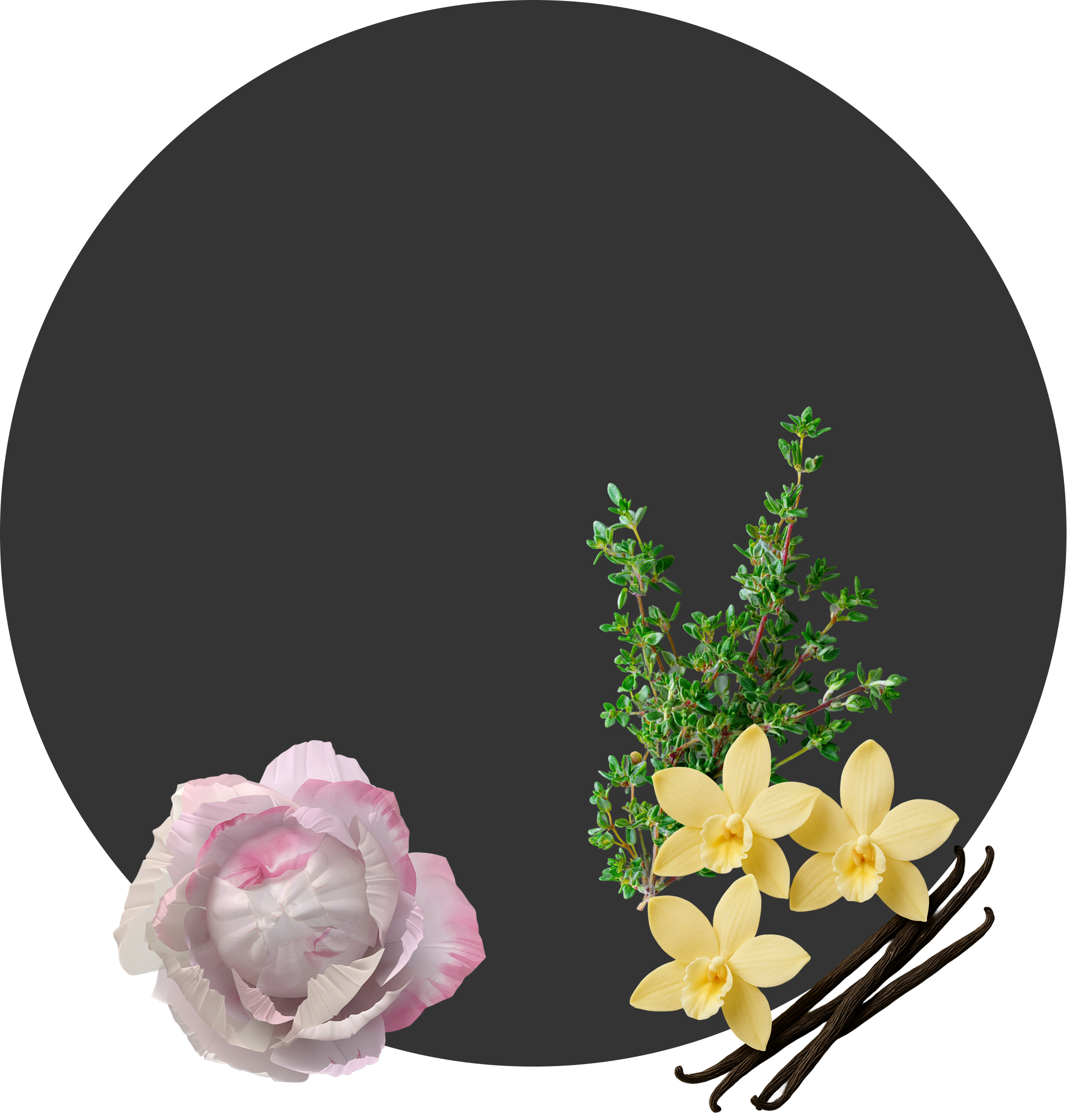 ГРАППА ОРДИНАРНАЯ