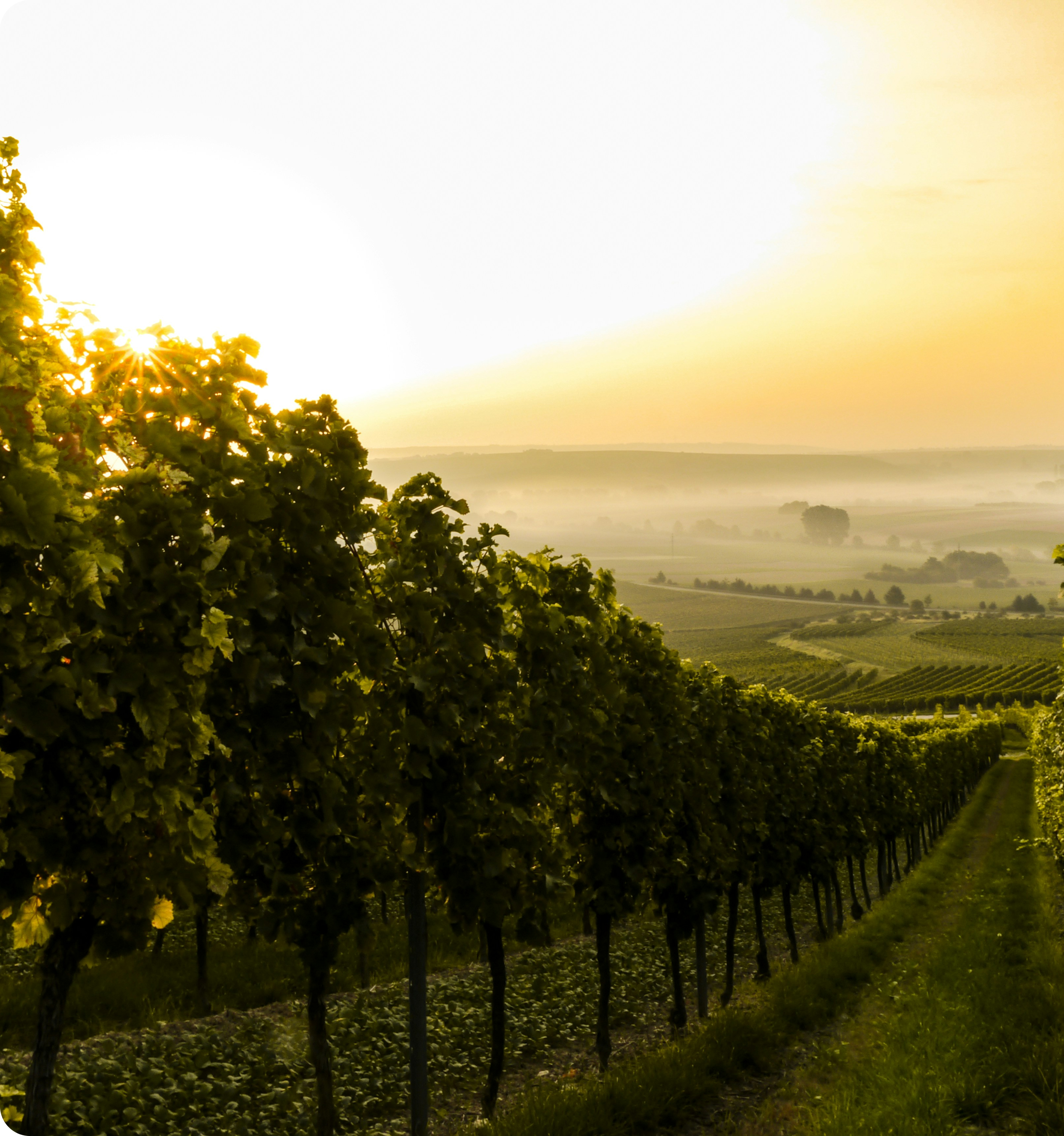 Особенности создания