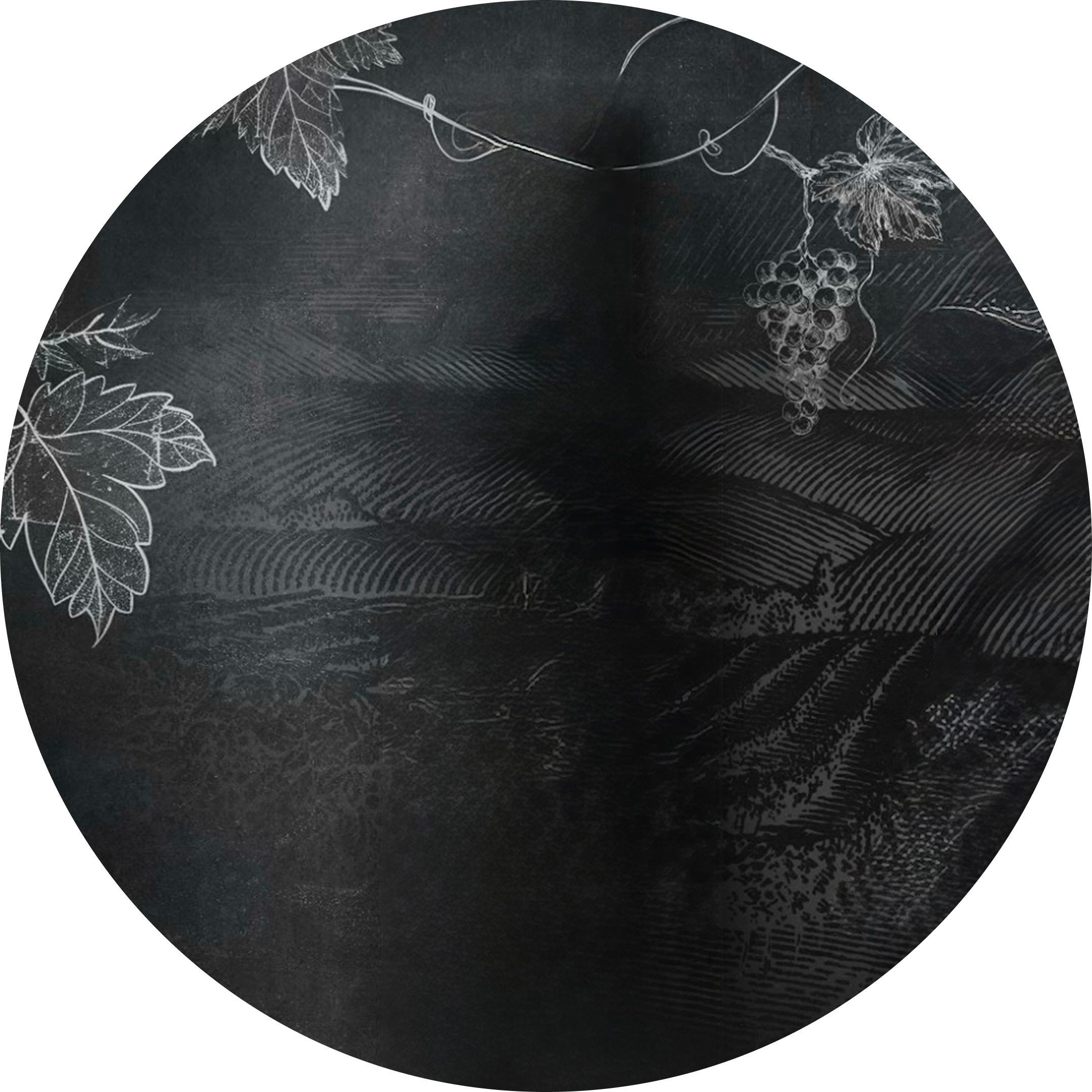 DERBEND МЯГКАЯ 38%