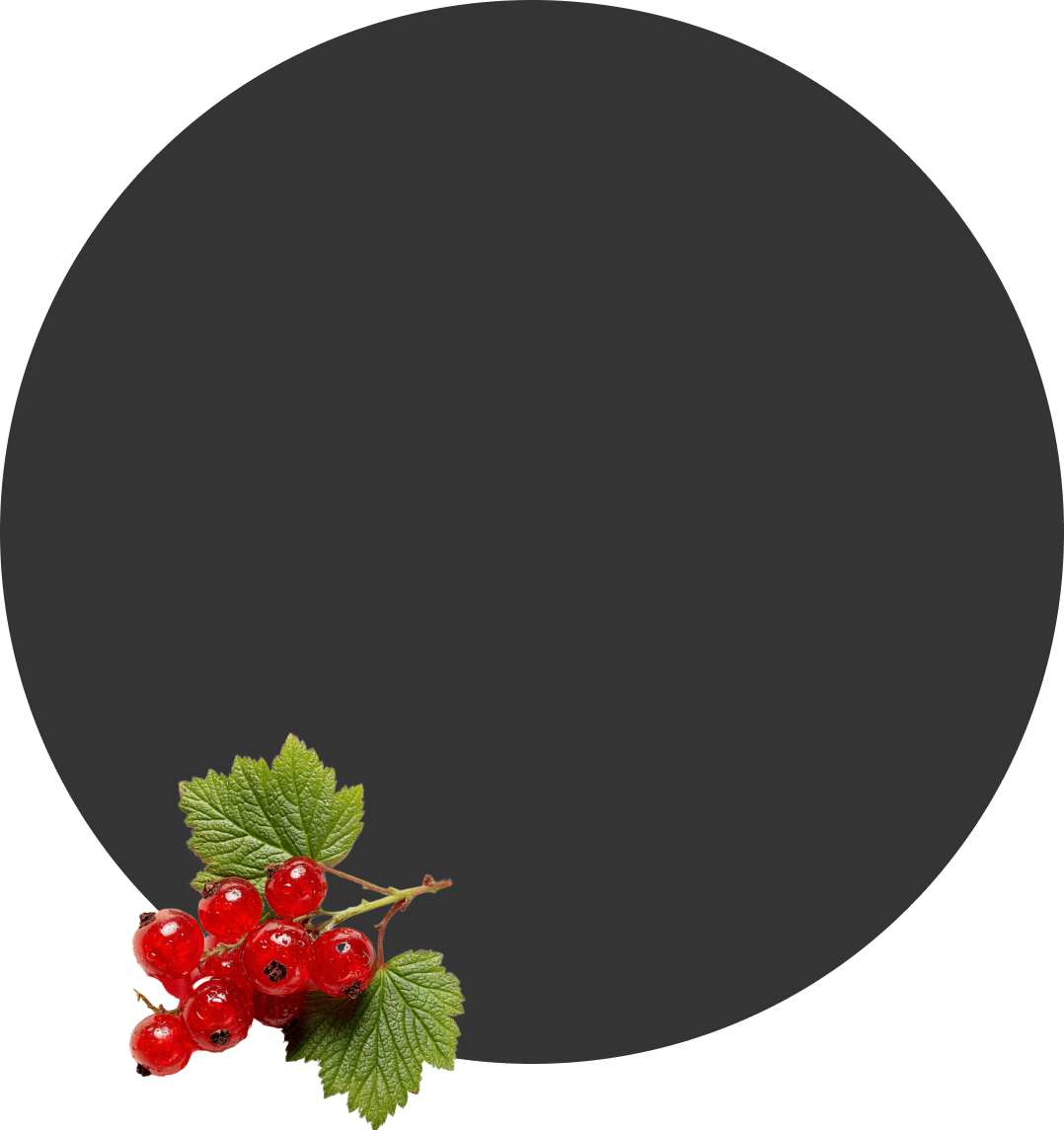 КРАСНАЯ СМОРОДИНА